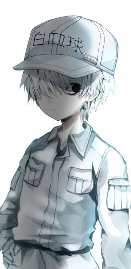 工作细胞－白血球