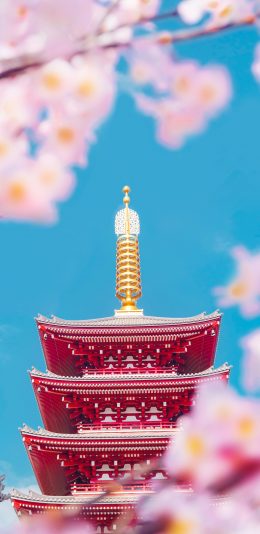 美如画