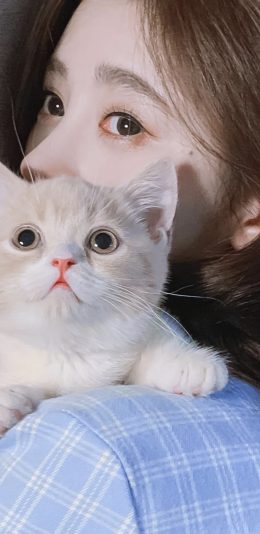 壁纸