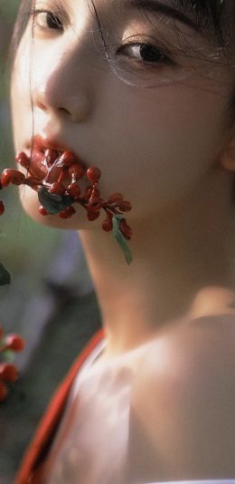 壁纸