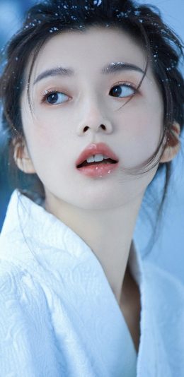壁纸