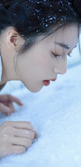 壁纸