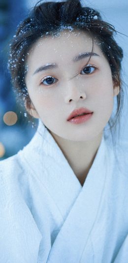 壁纸