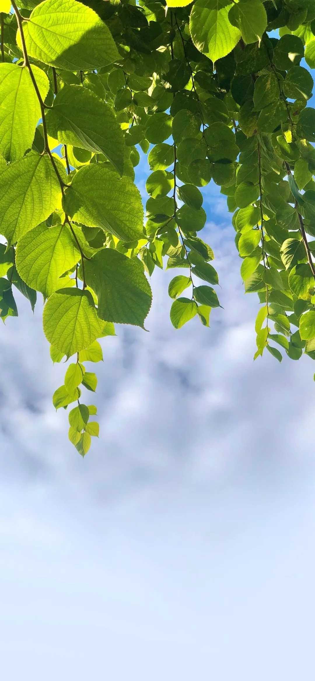 好心情