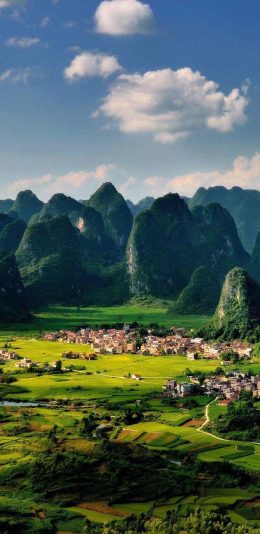 风景