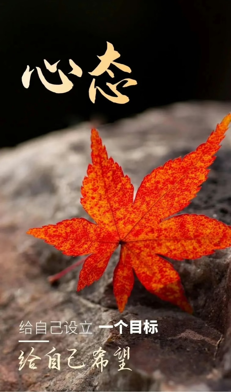 我也是壁纸爱好者，时不时就换换