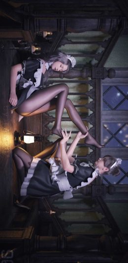 两位女仆