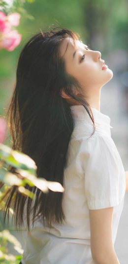 芙蓉不及美人妆  水殿风来珠翠香