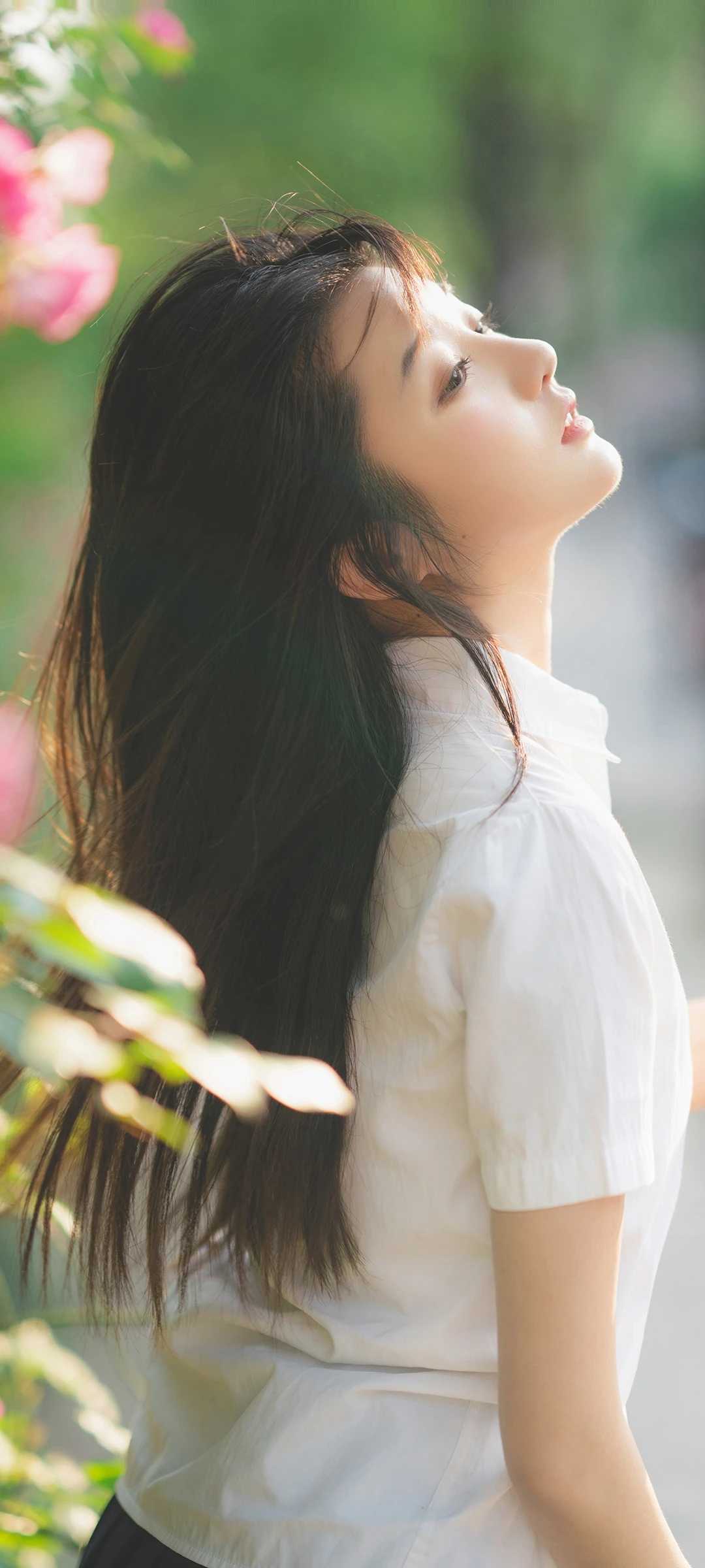 芙蓉不及美人妆  水殿风来珠翠香