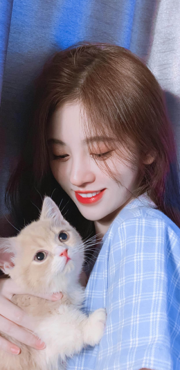 女神鞠婧祎与可爱的小猫咪高清手机壁纸