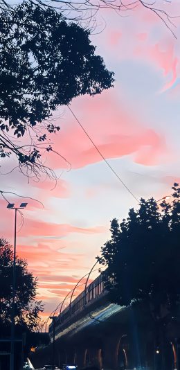 夕阳风景