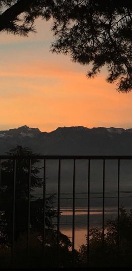 风景