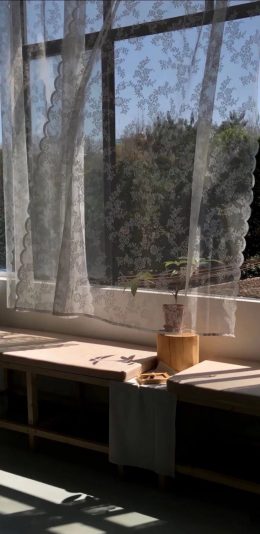 风景