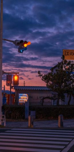 夕阳
