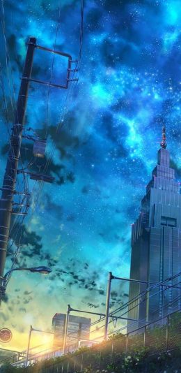 风景
