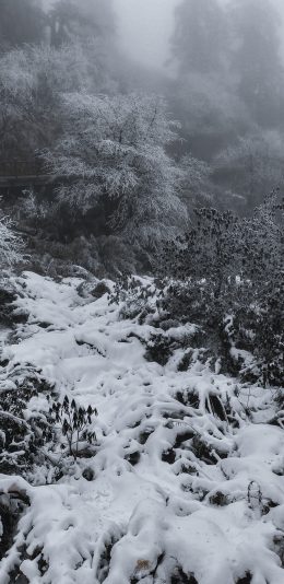 雪景