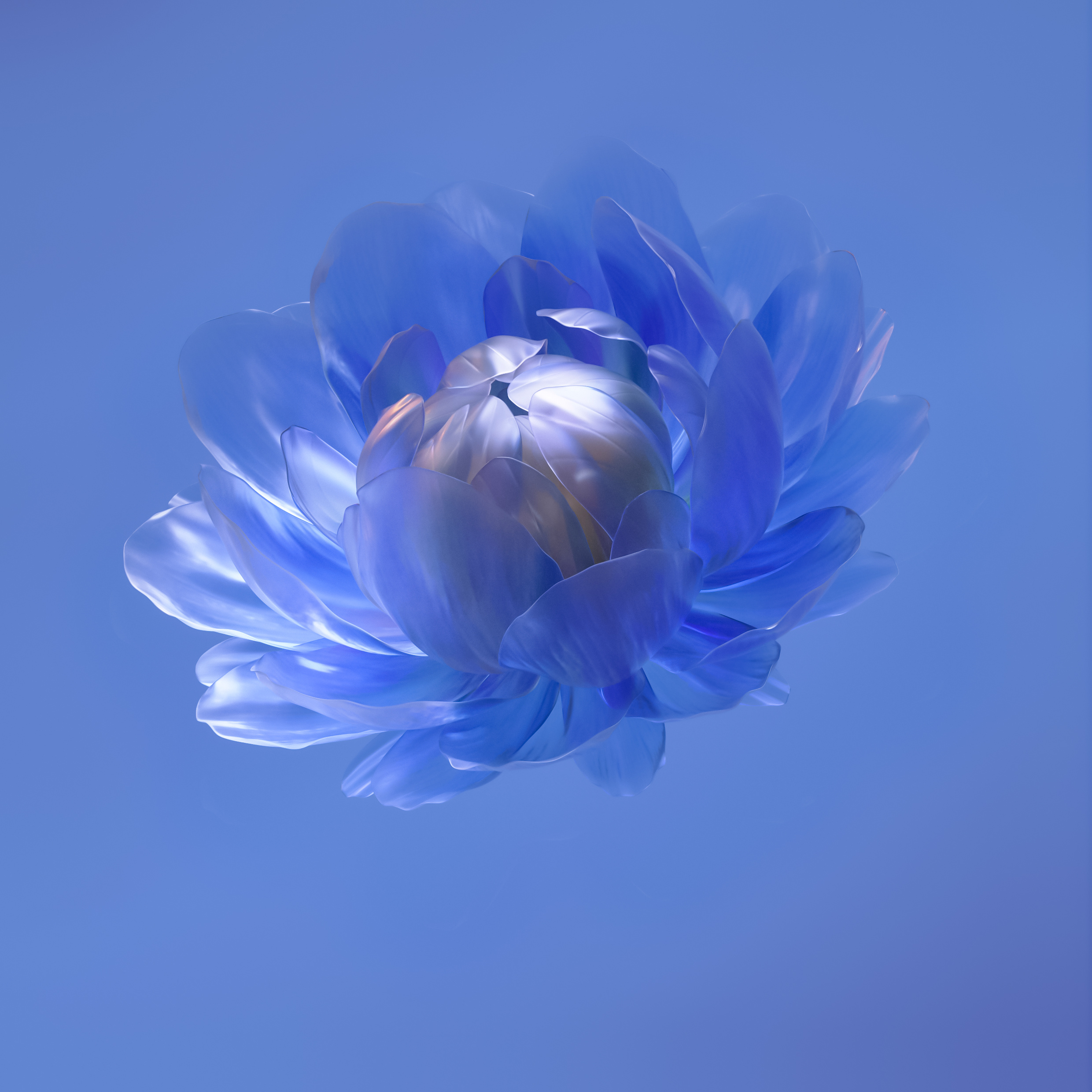 华为 Huawei Mate Xs 2折叠屏壁纸（11）