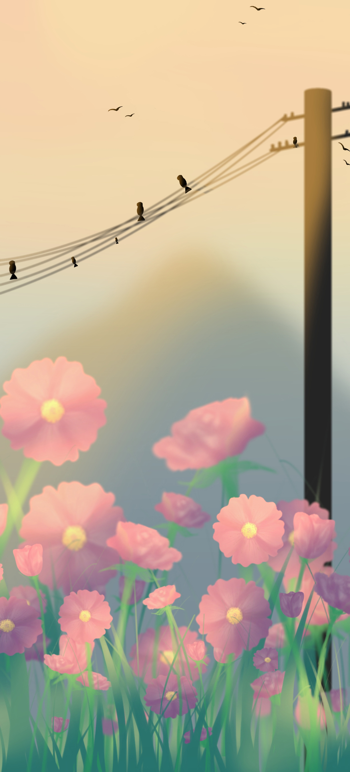 日落西山 原创小C 高清手机壁纸