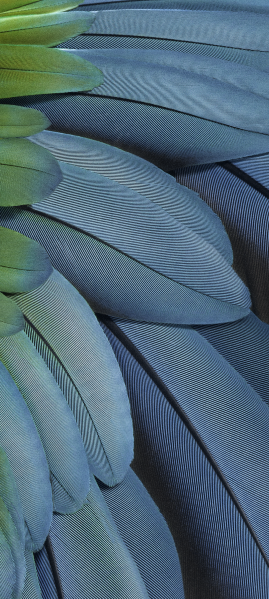 Google Pixel 7a 手机系统壁纸(2)