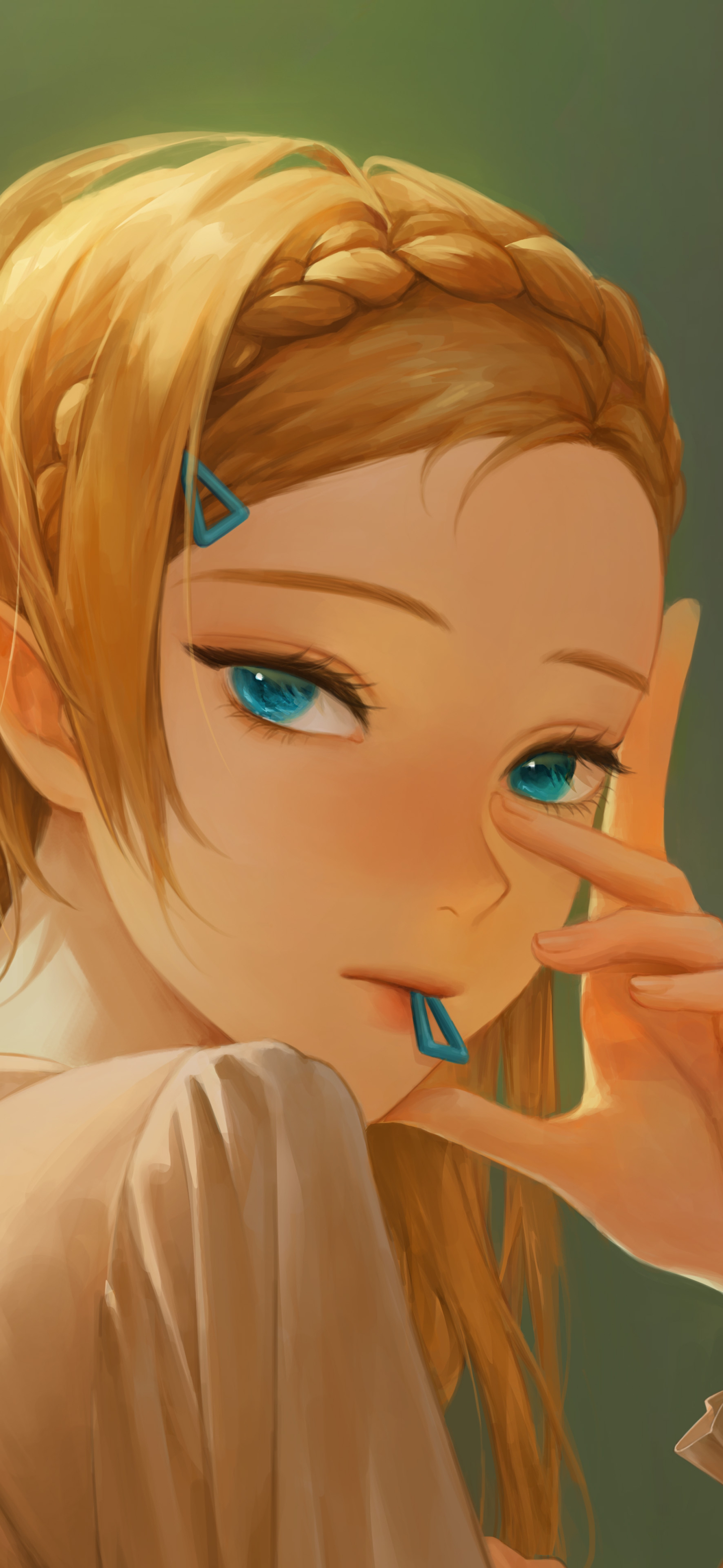 塞尔达传说：荒野之息（The Legend of Zelda: Breath of the Wild）