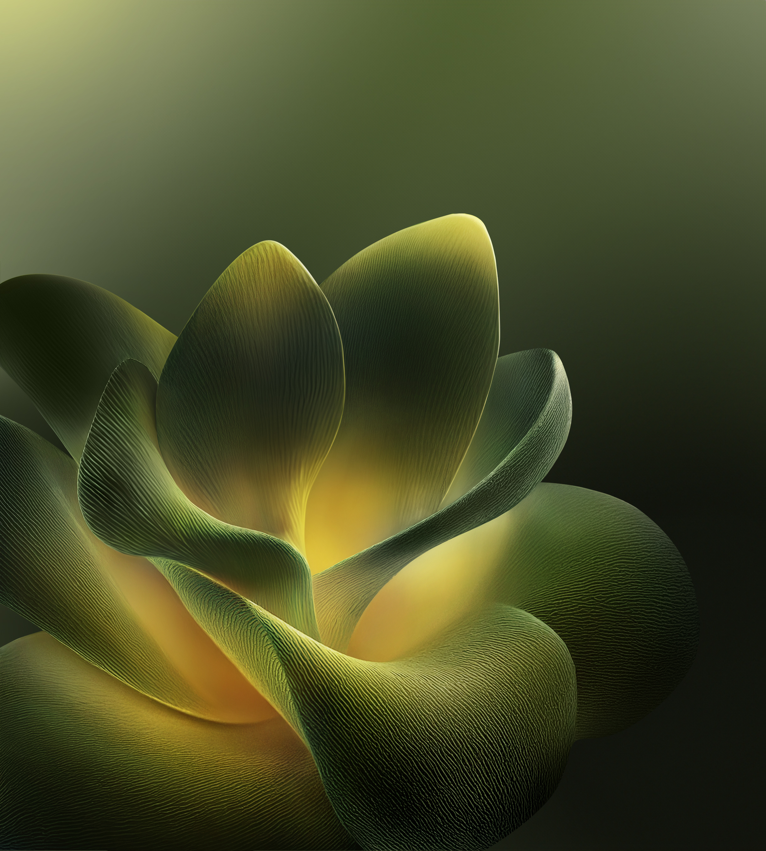 摩托罗拉 Moto Edge 70 手机壁纸