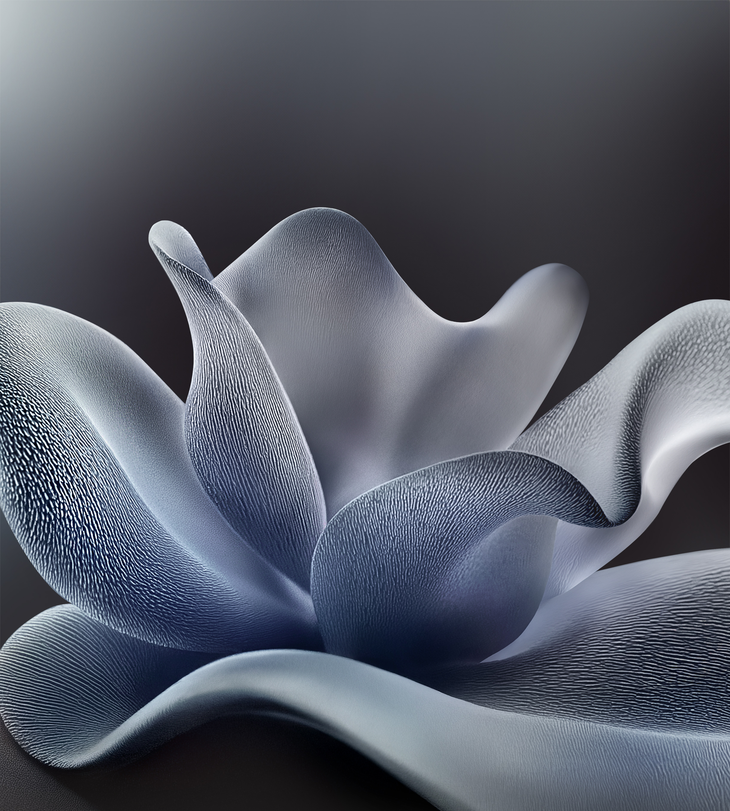 摩托罗拉 Moto Edge 70 手机壁纸（2）