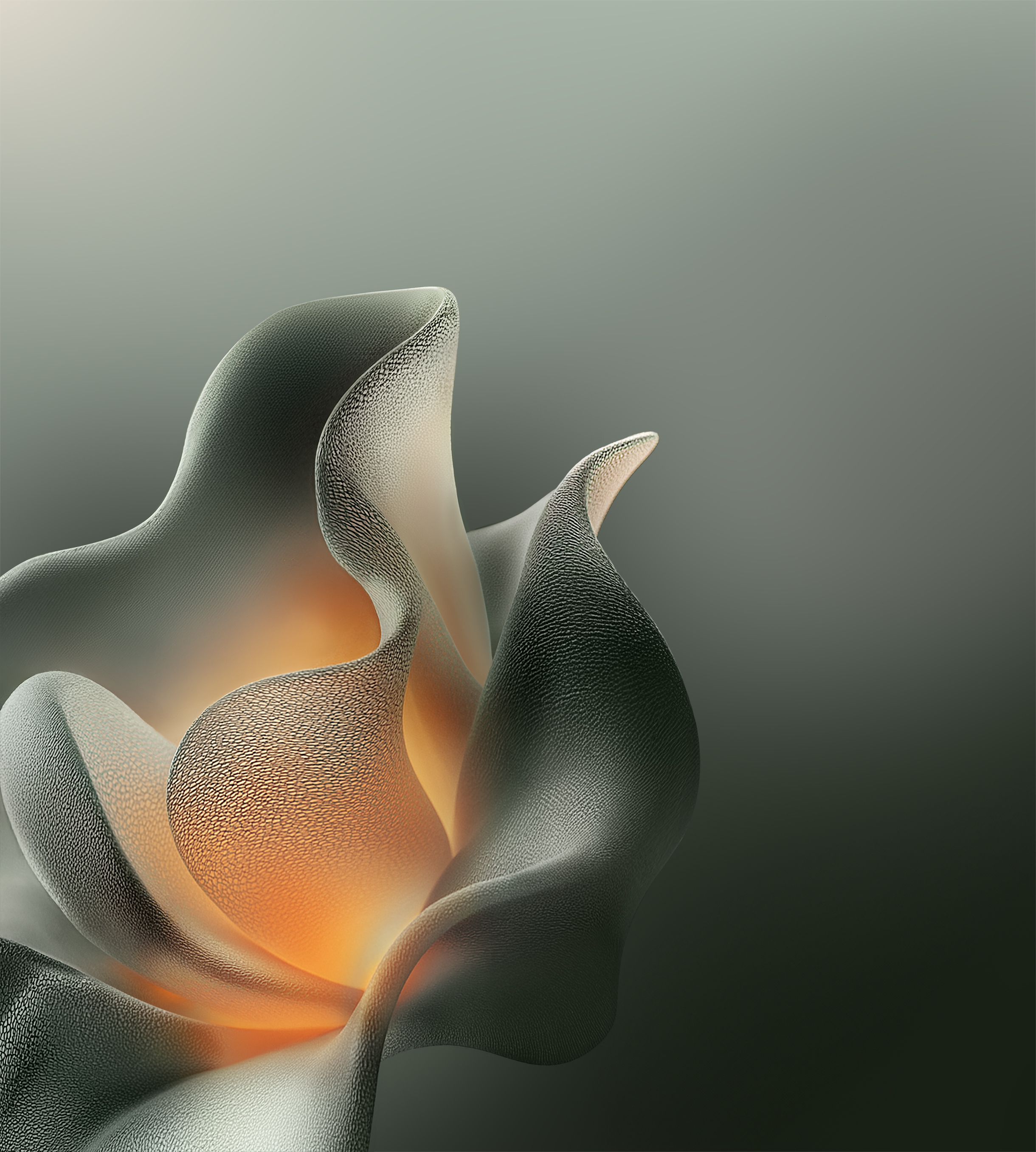 摩托罗拉 Moto Edge 70 手机壁纸（3）