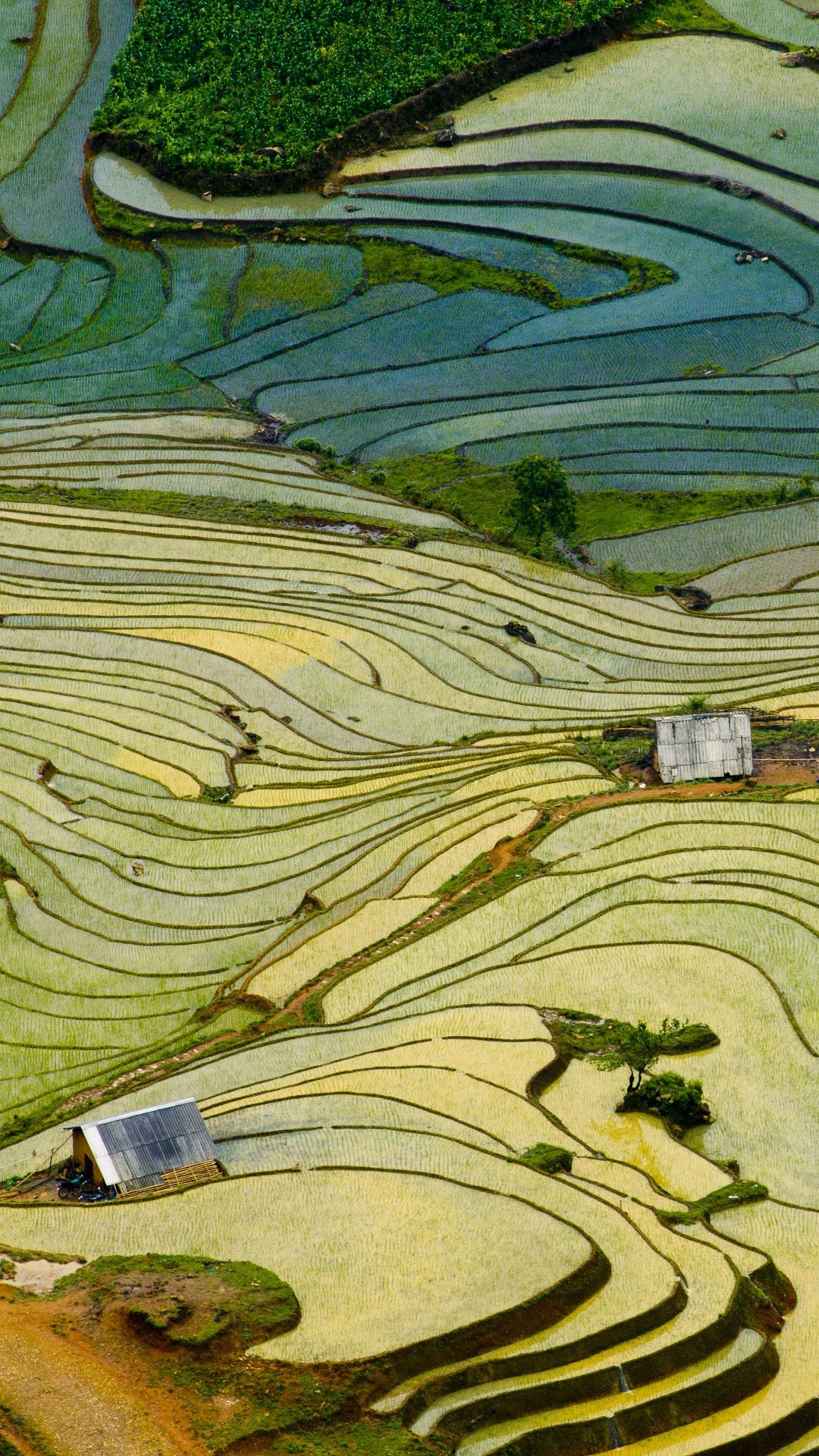 摄影｜梯田｜手机