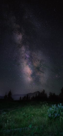 iPod｜平板电脑｜iPhone