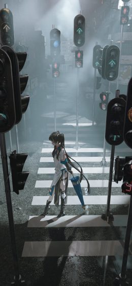 交通灯｜人行横道｜双马尾