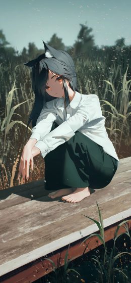 花朵｜橙色的眼睛｜自然