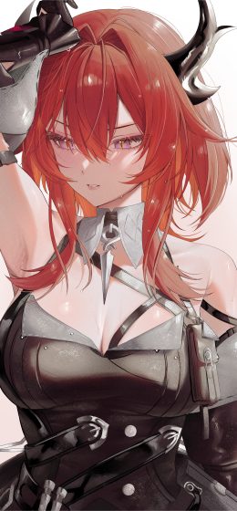 纵向显示｜明日方舟恩德菲尔德｜独奏