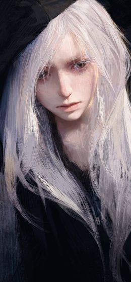 艺术品｜伊尔迪安｜插图