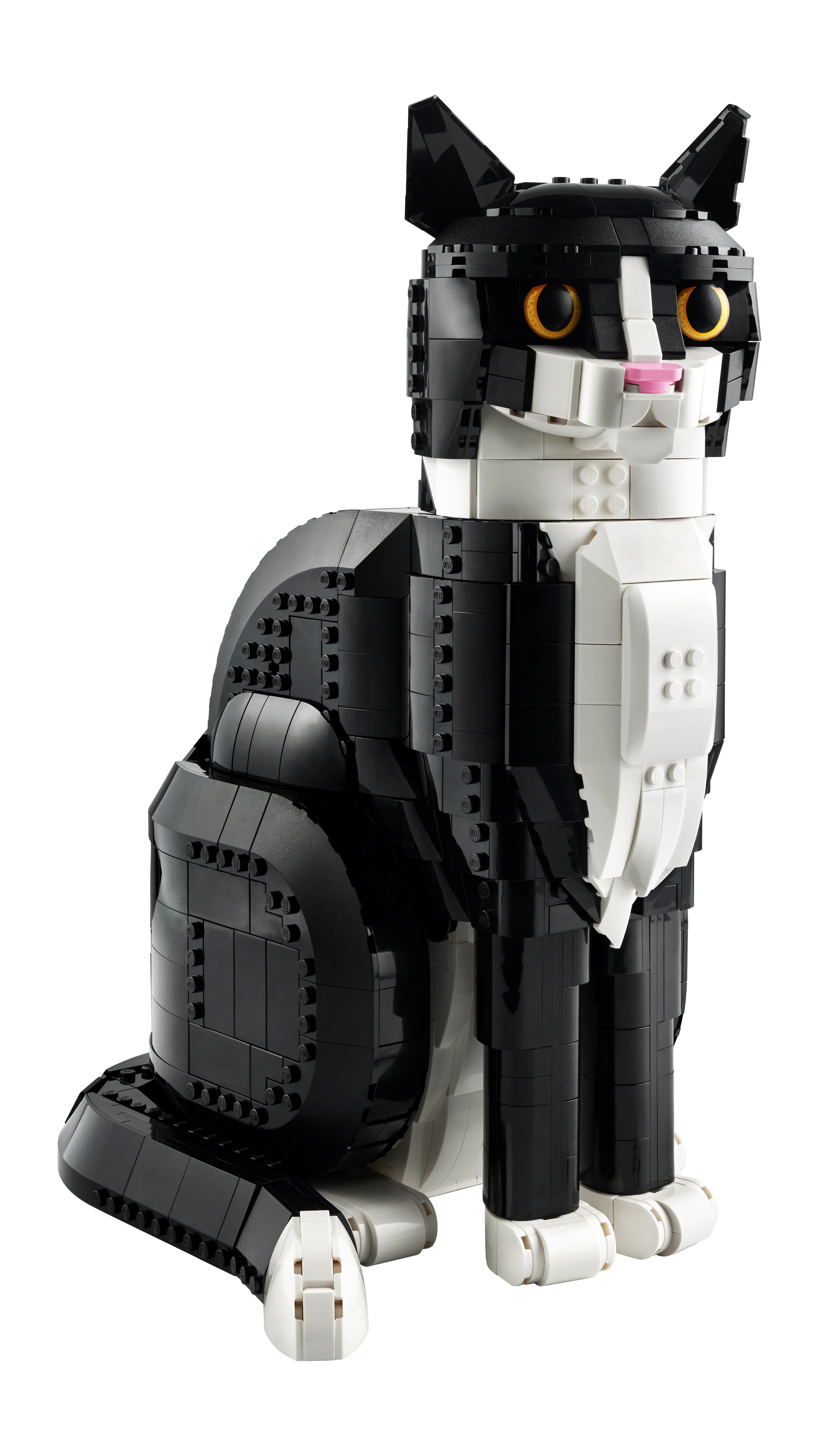 白色背景｜猫｜玩具