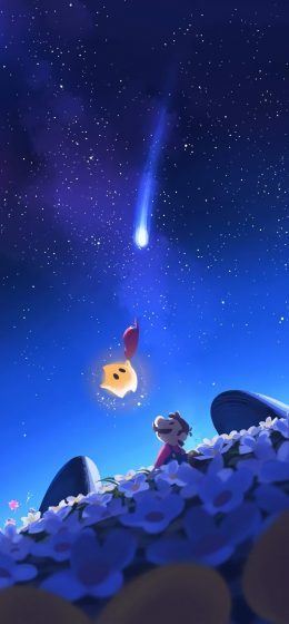 任天堂｜星星｜马里奥角色