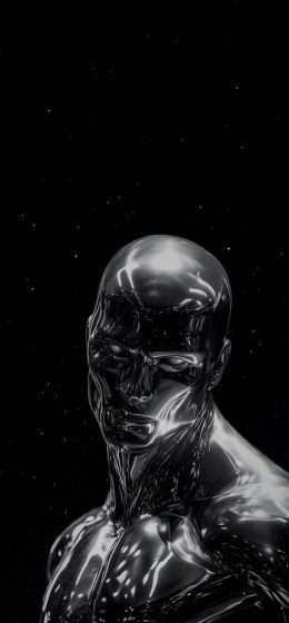 银色冲浪者｜银｜纵向显示