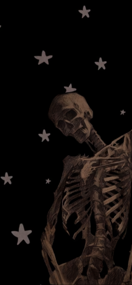 黑色背景｜骨骼｜纵向显示