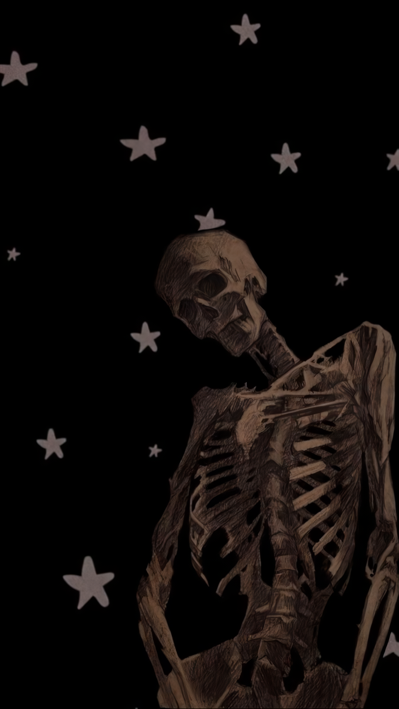 黑色背景｜骨骼｜纵向显示