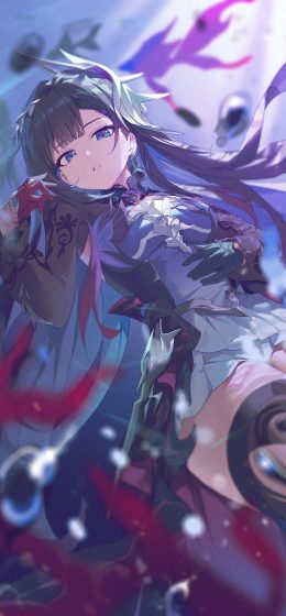 艺术品｜崩坏星轨｜pixiv