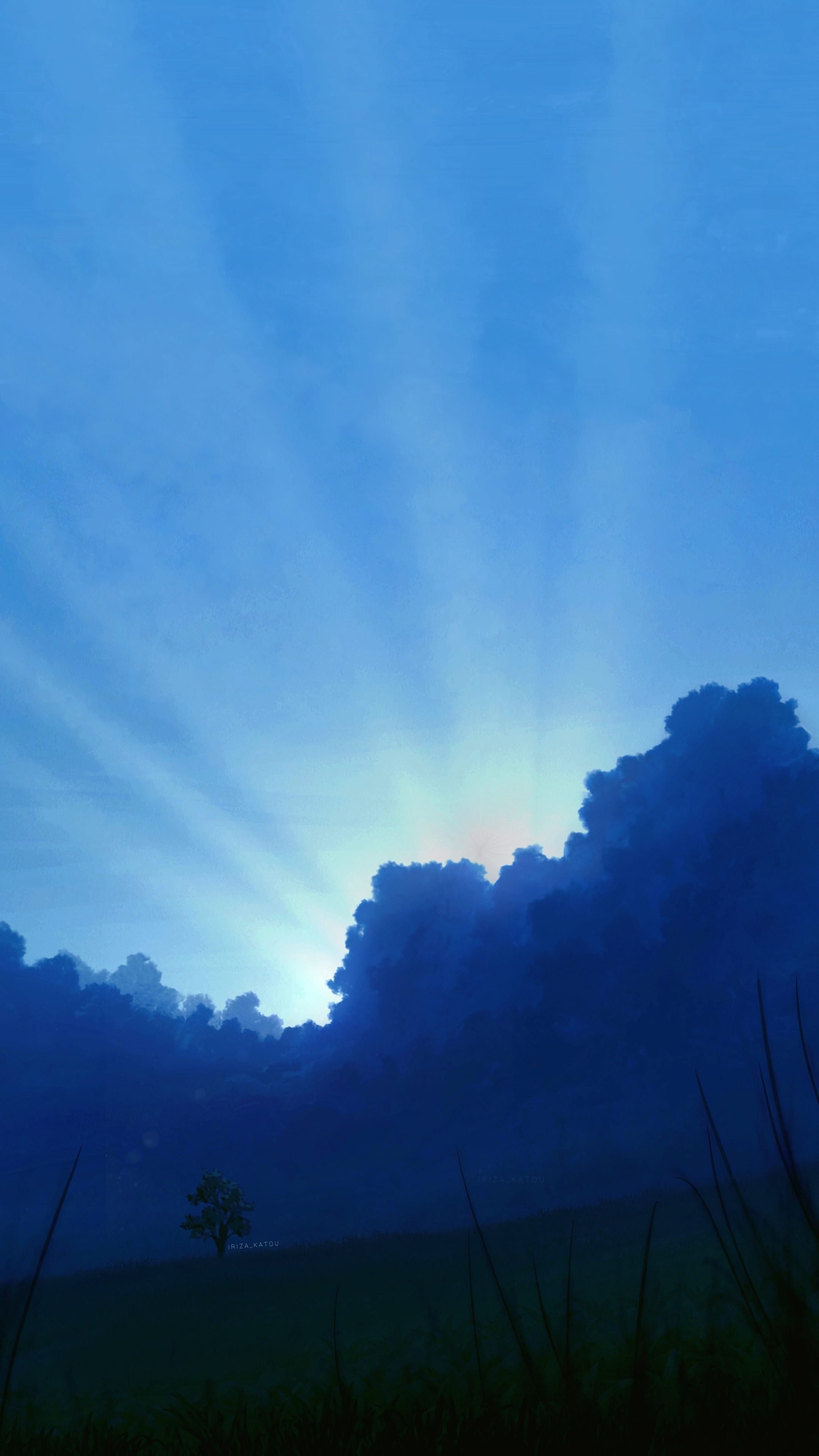 肖像｜云｜加藤伊里沙