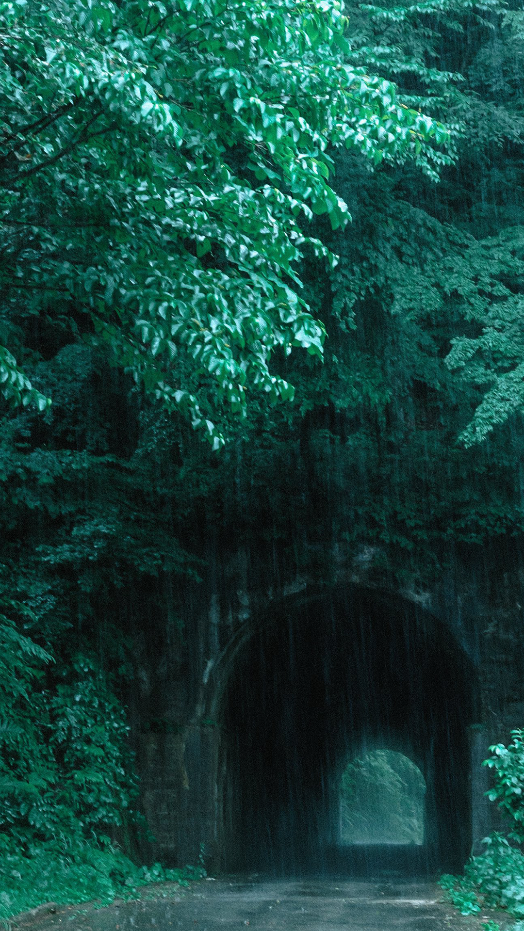 照片okina｜日本｜隧道