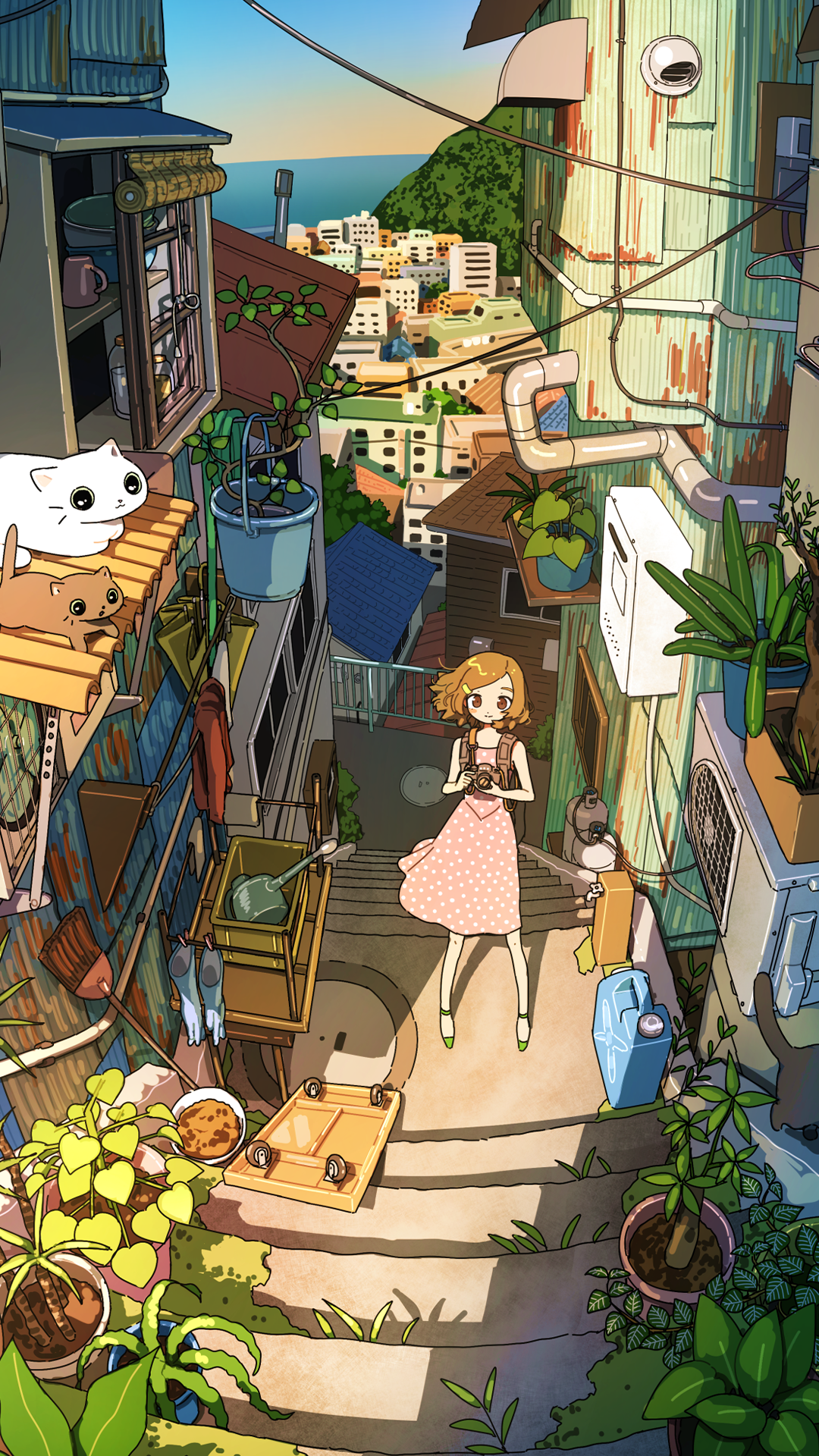 猫｜相机｜植物