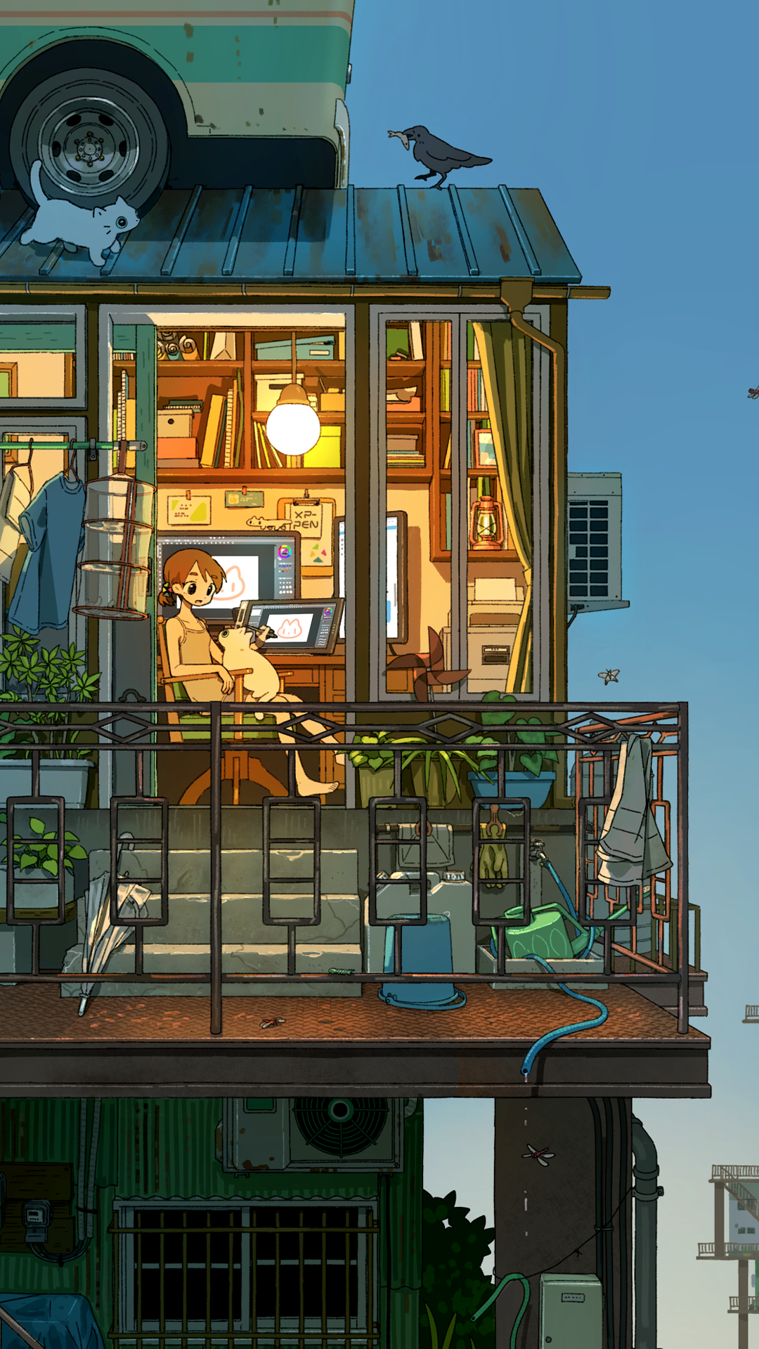 鸟类｜猫｜屋顶