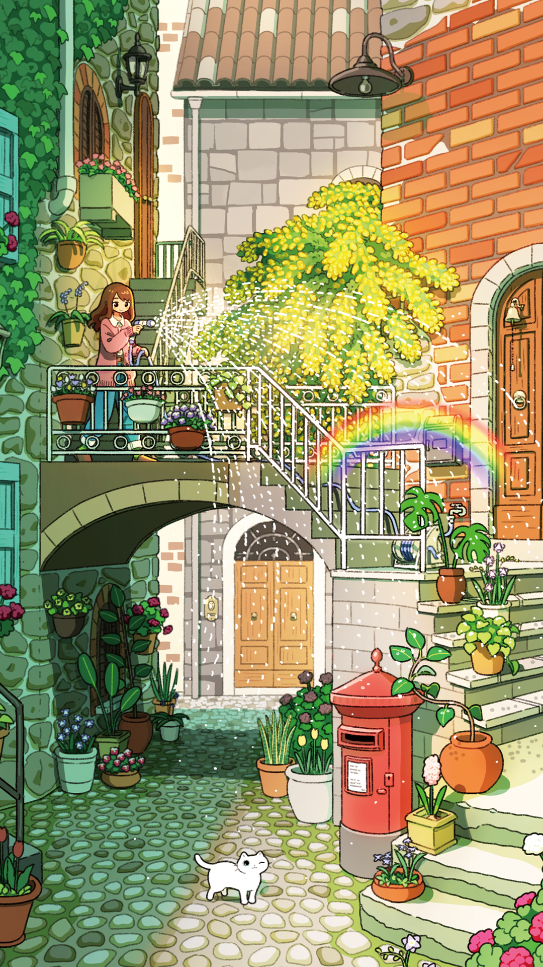 彩虹｜猫｜欧洲建筑