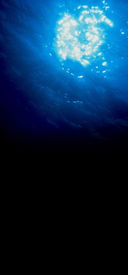 水下｜深海｜深蓝色