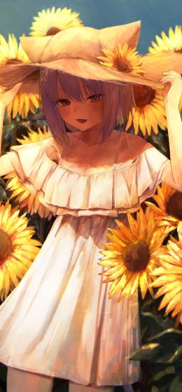 全息直播｜紫色头发｜猫又阿久