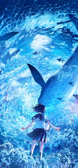 高田贤三093｜校服｜乐谱