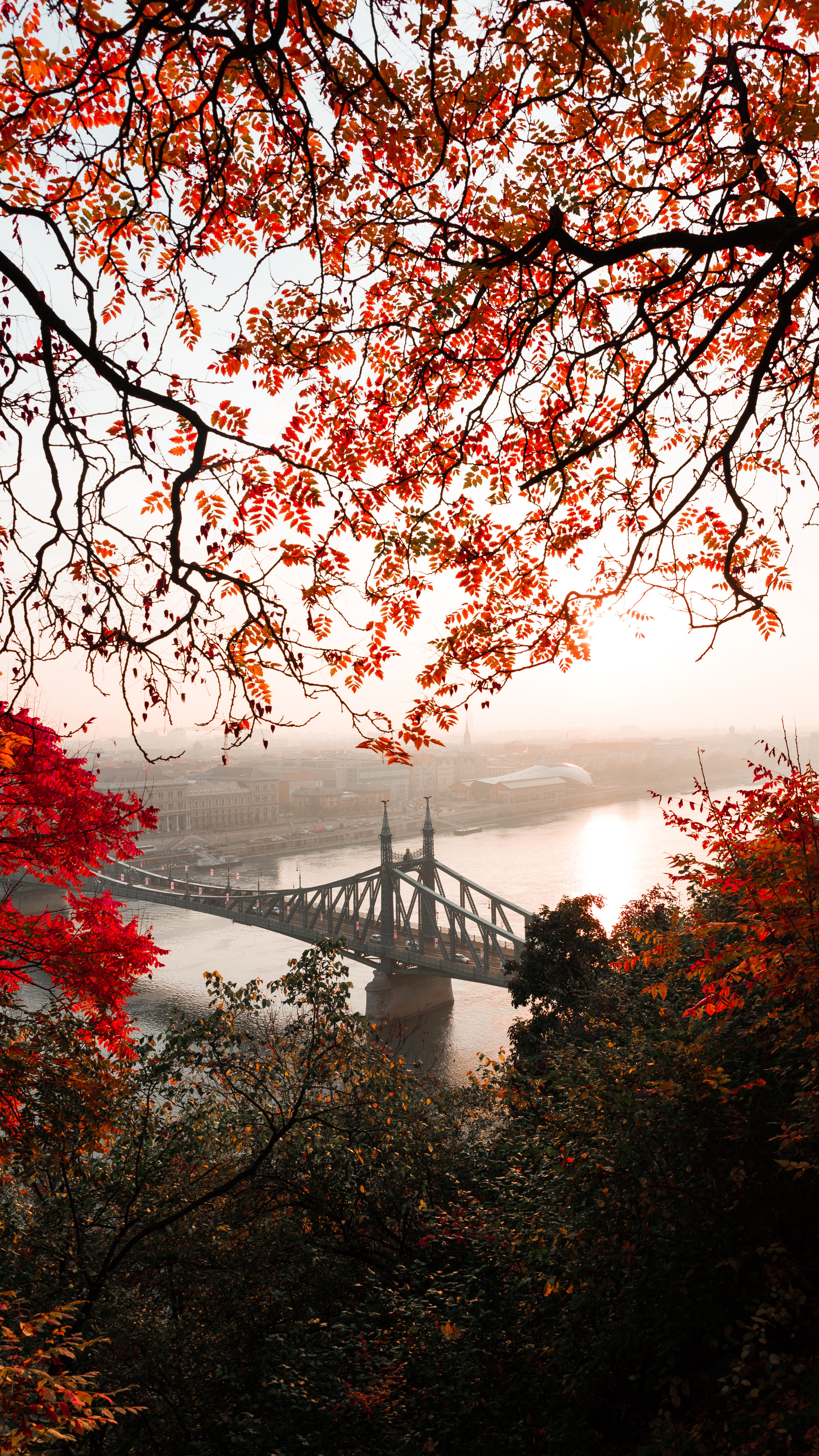 落下｜风景｜自然