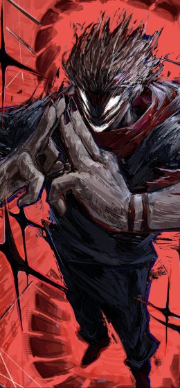 纵向显示｜柔术快战｜动漫