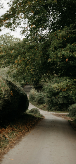 路｜户外｜森林